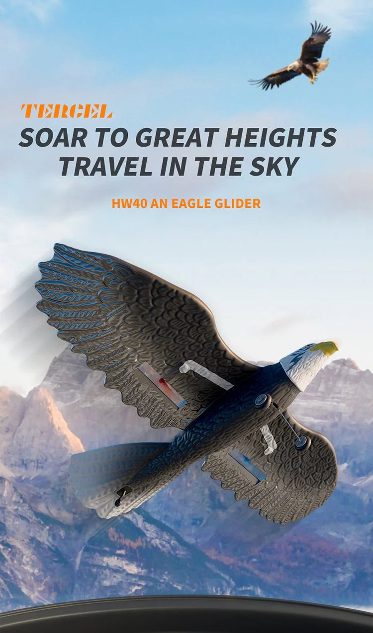 RC Eagle For Kids